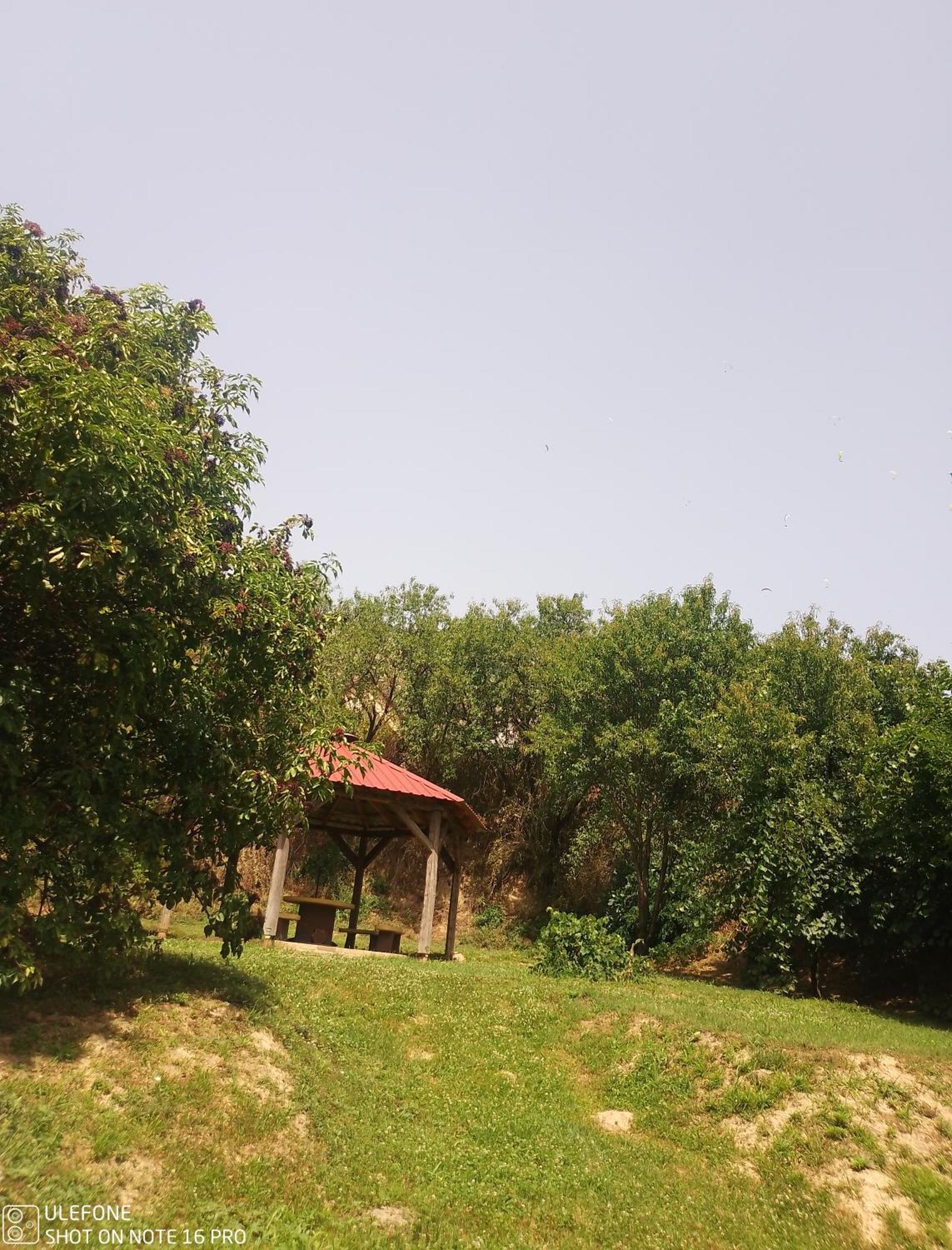 Retro Vendeghaz Villa Nagyharsány Exteriör bild
